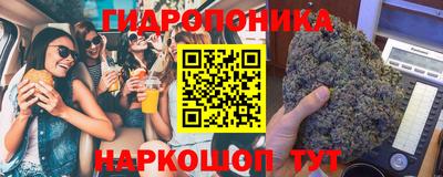 сатива Бийск