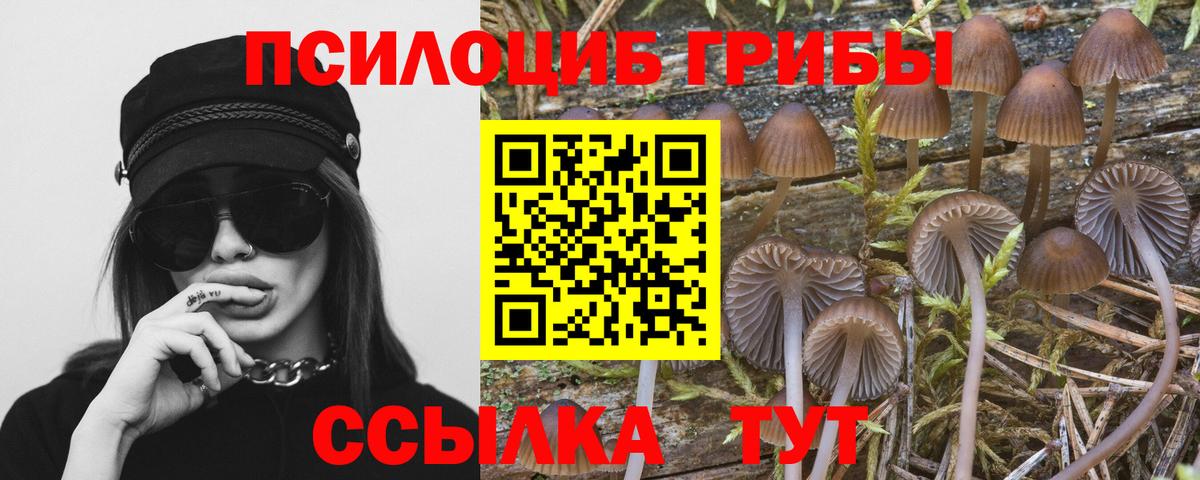 Галлюциногенные грибы мицелий Камень-на-Оби